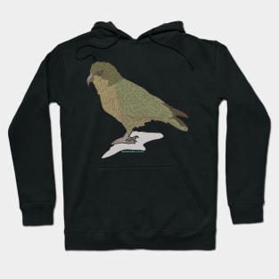 Hand Drawn New Zealand Kea Bird Hoodie